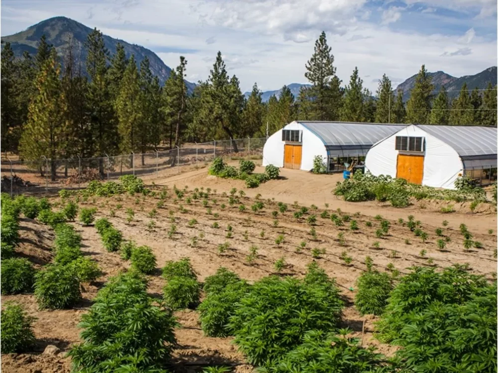 EarthWolf Farms’ Journey